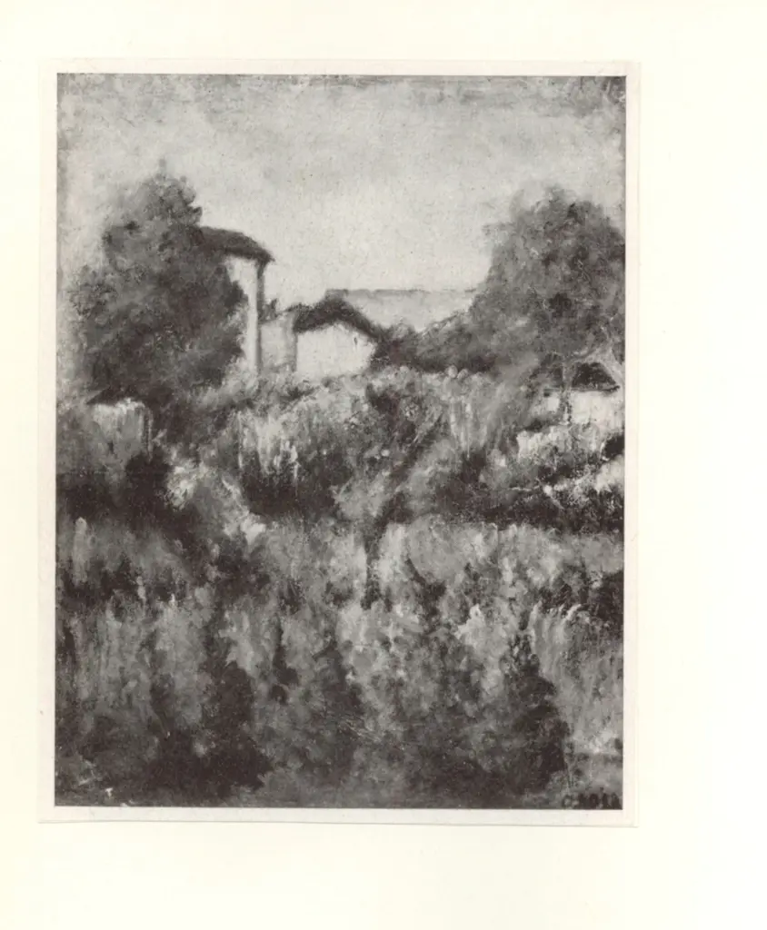 Anonimo, Anonimo , fronte