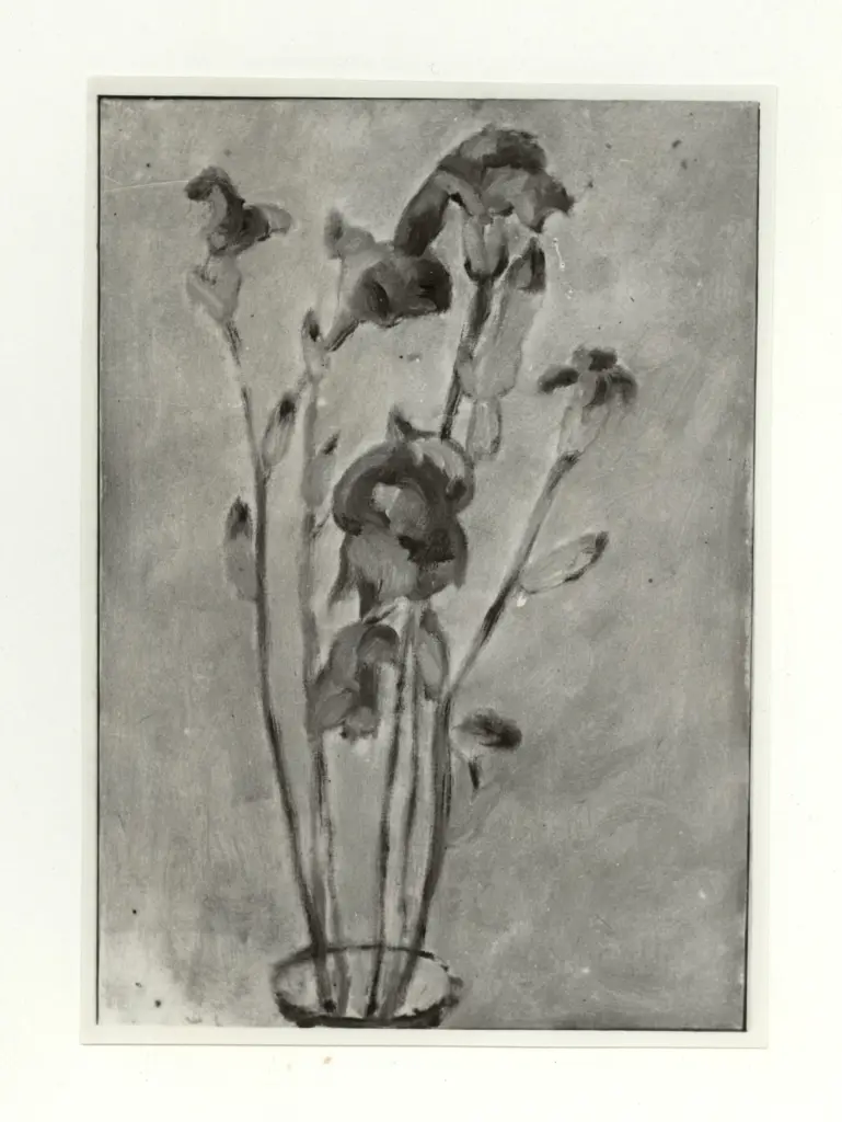 Anonimo, Anonimo , fronte