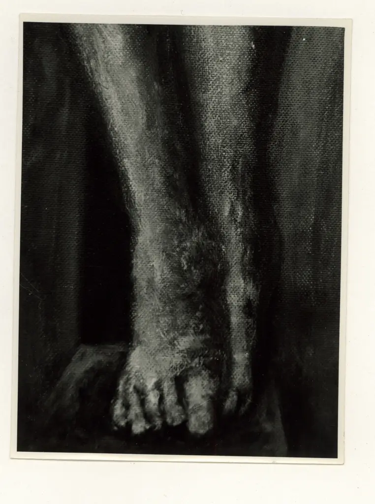 Anonimo, Anonimo , fronte