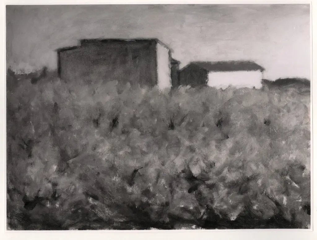 Anonimo, Anonimo , fronte