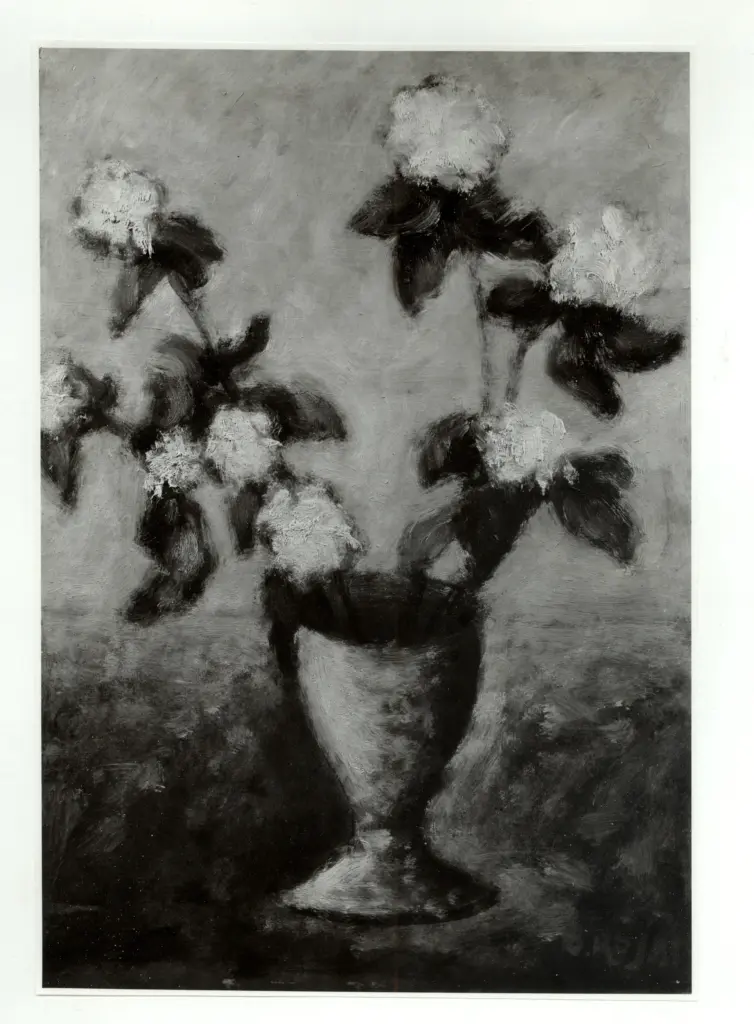 Anonimo, Anonimo , fronte