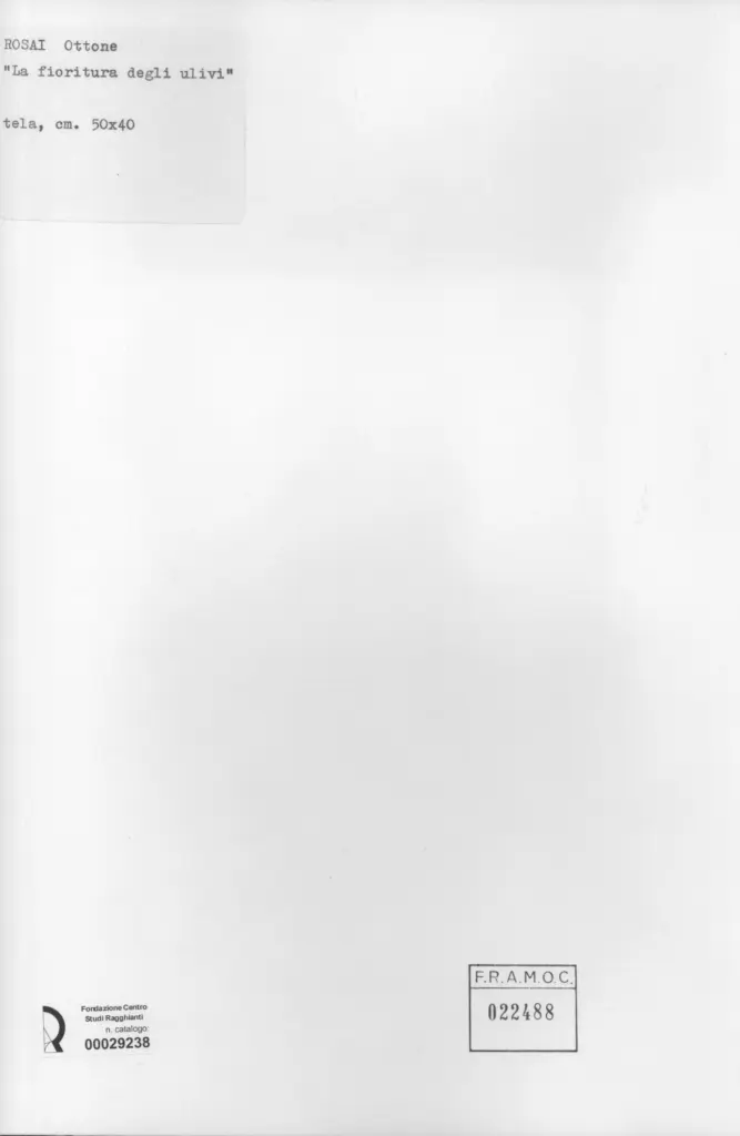 Anonimo, Anonimo , retro