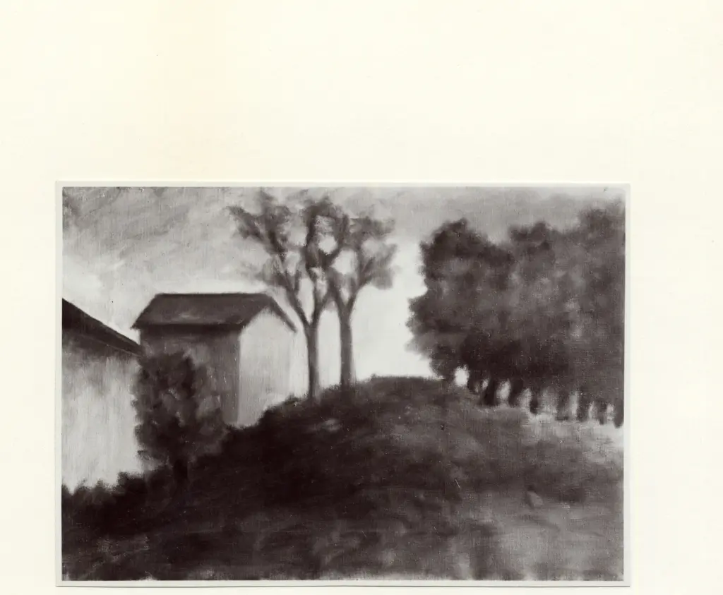 Anonimo, Anonimo , fronte