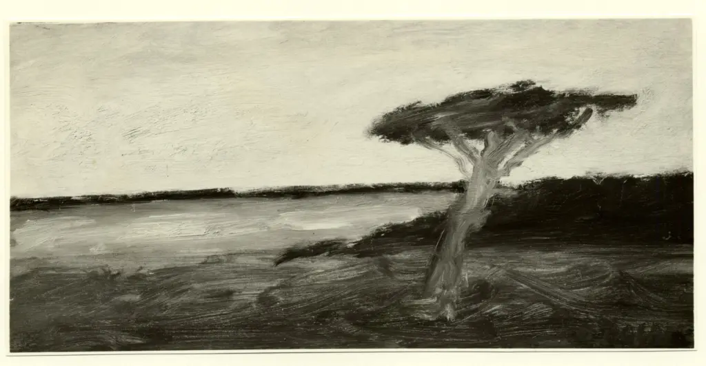 Anonimo, Anonimo , fronte