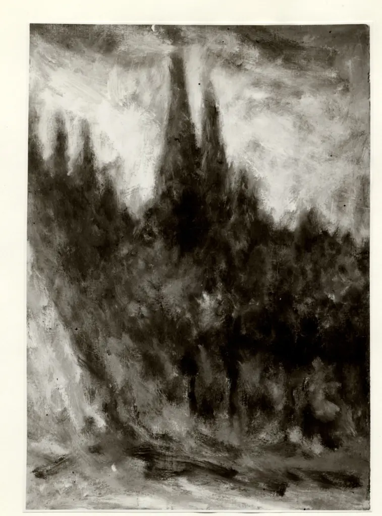 Anonimo, Anonimo , fronte