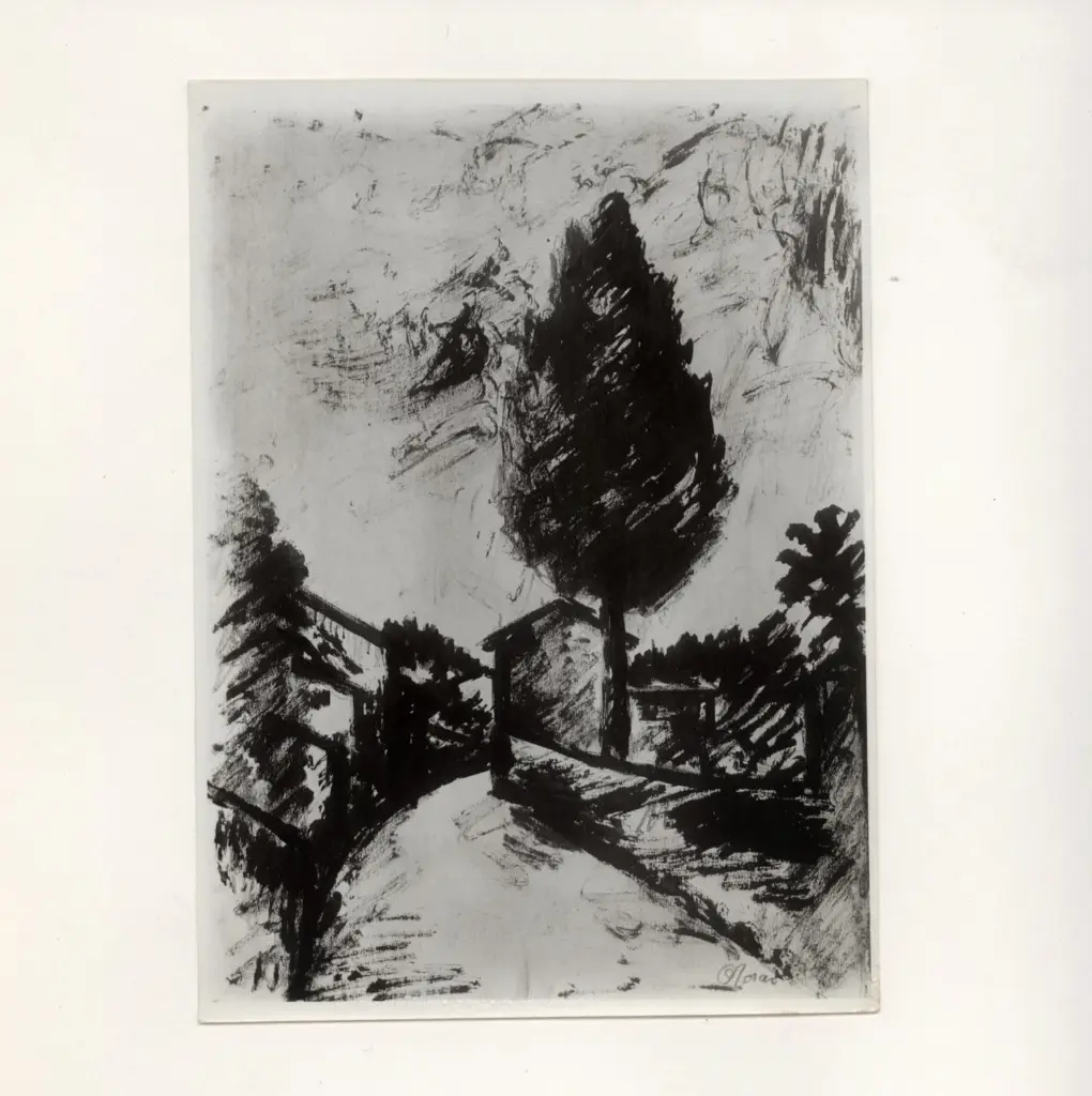 Anonimo, Anonimo , fronte