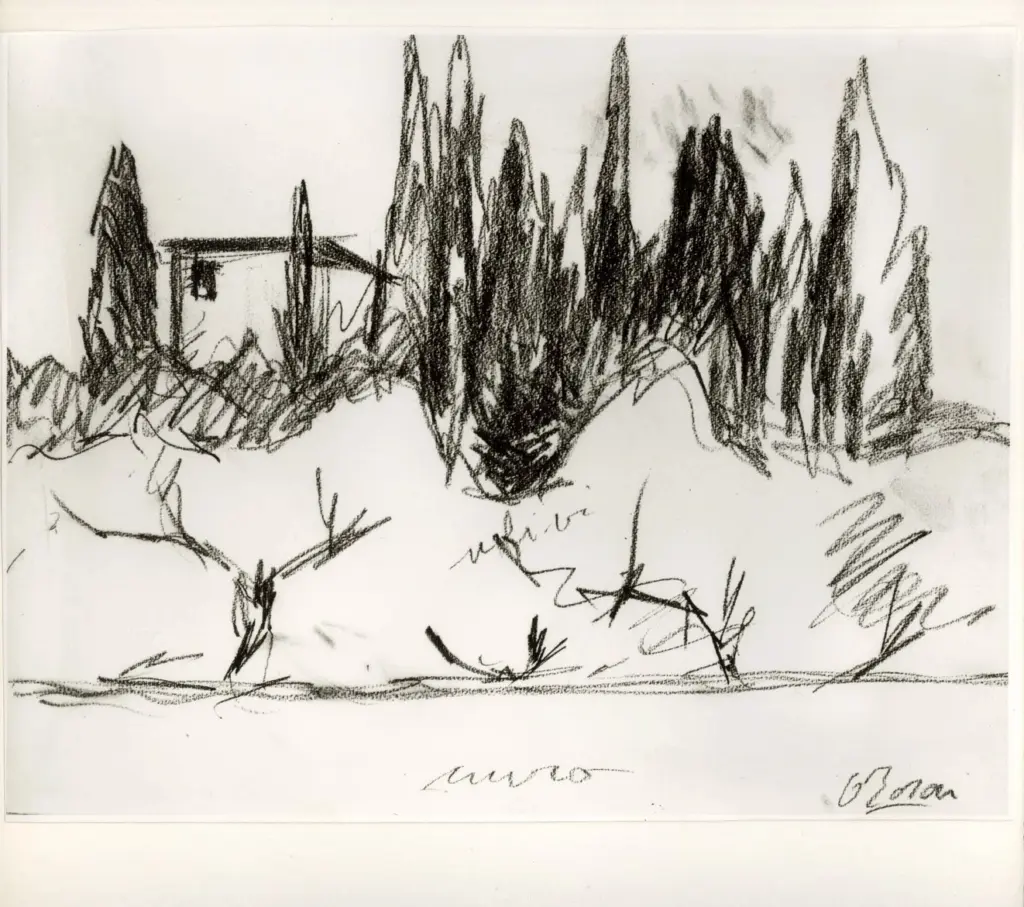 Rosai, Ottone , Ulivi e case