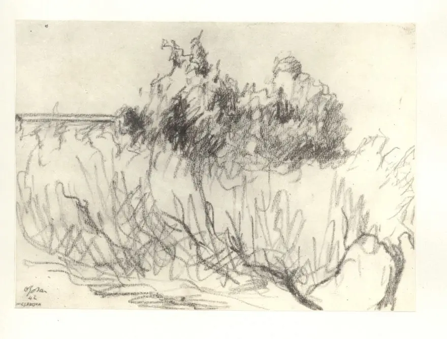 Anonimo, Anonimo , fronte