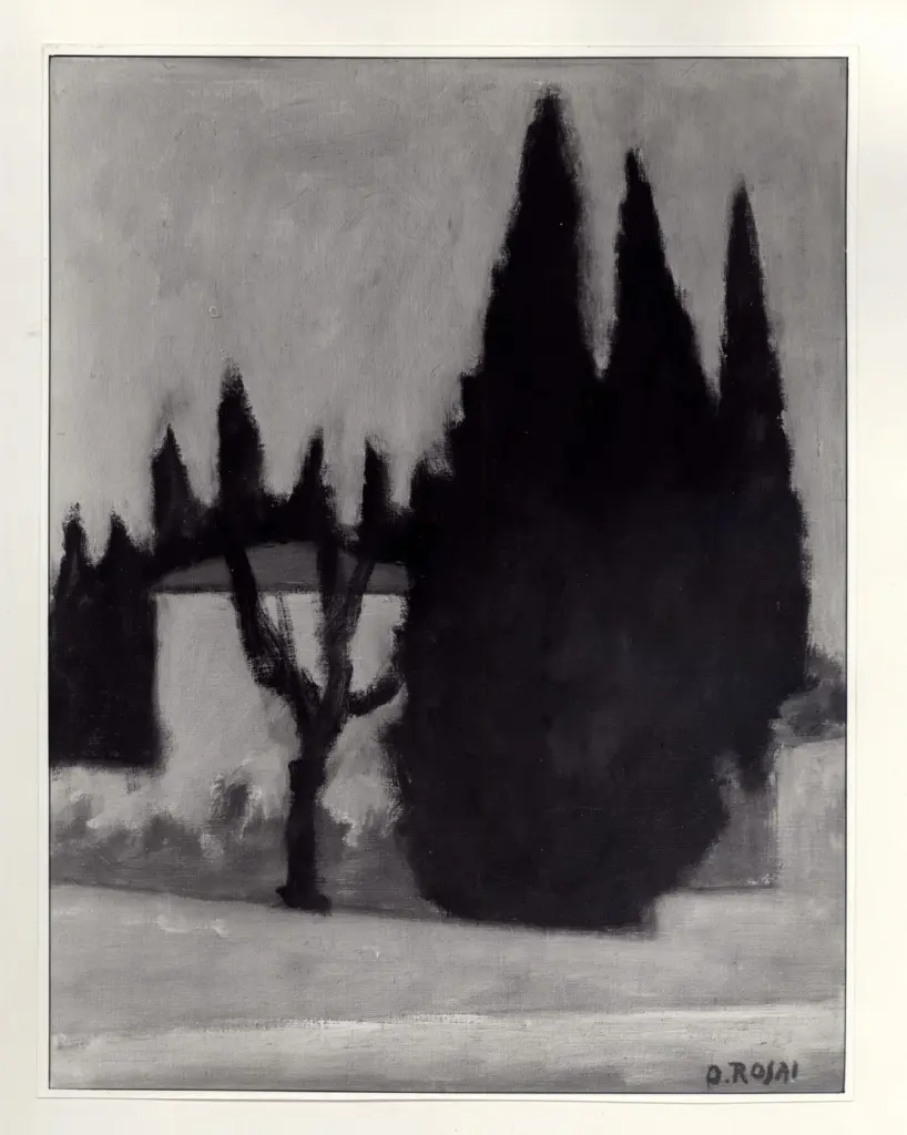 Anonimo, Anonimo , fronte