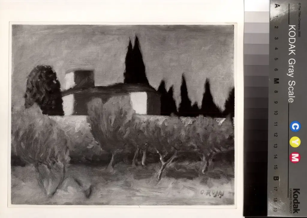 Anonimo, Anonimo , fronte