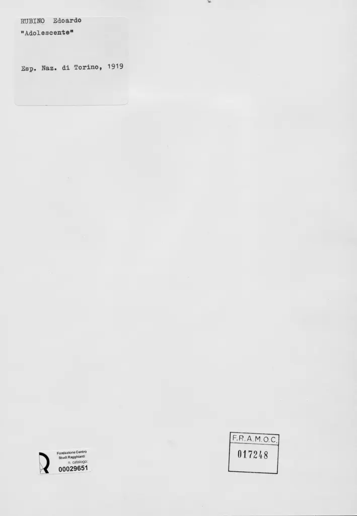 Anonimo , Rubino, Edoardo - sec. XX - Adolescente , retro