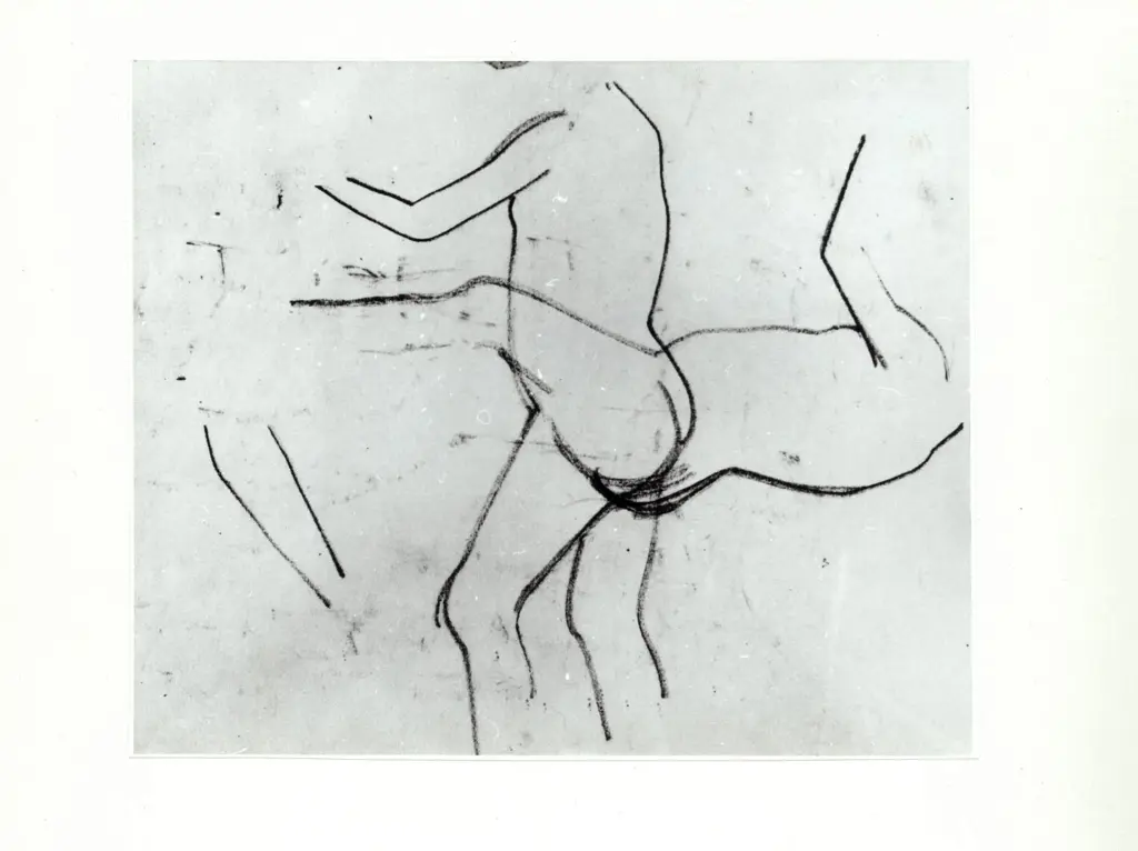 Anonimo, Anonimo , fronte