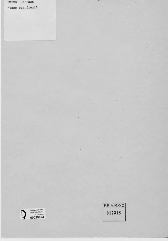 Anonimo, Anonimo , retro