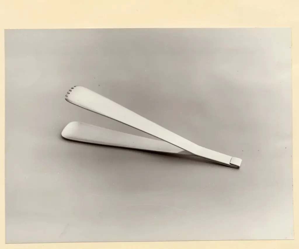 Anonimo , Sabattini, Lino