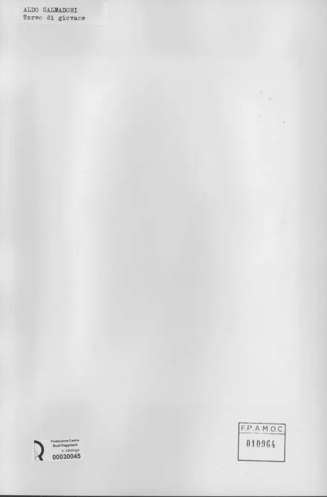 Anonimo, Anonimo , retro