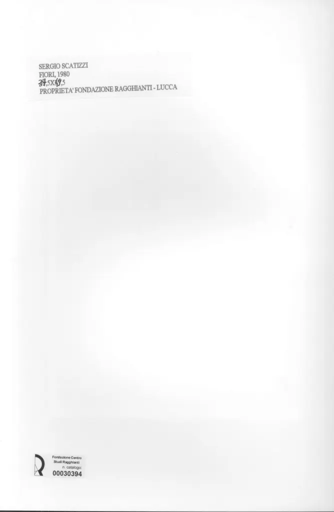 Anonimo , Scatizzi, Sergio - sec. XX - Fiori , retro