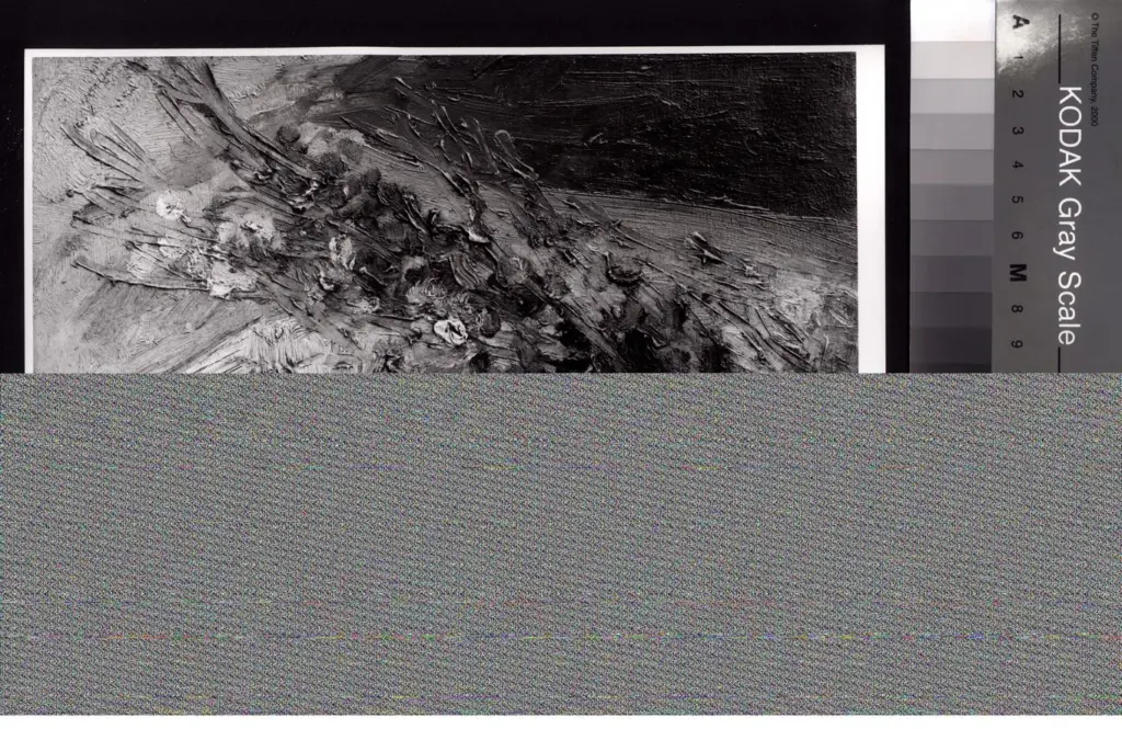 Foto Barsotti , fronte