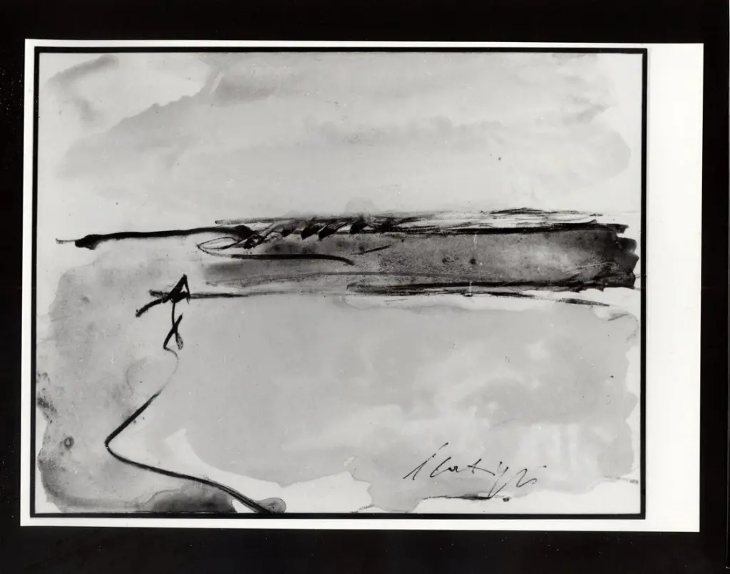 Foto Barsotti , fronte