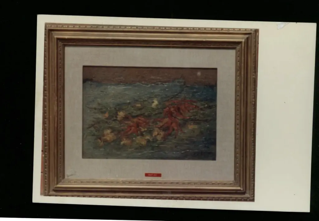 Foto Barsotti , fronte