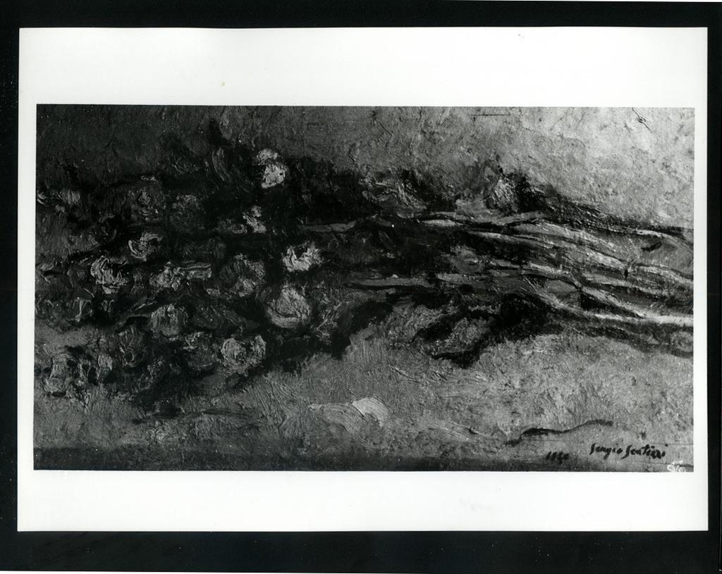 Foto Barsotti , fronte