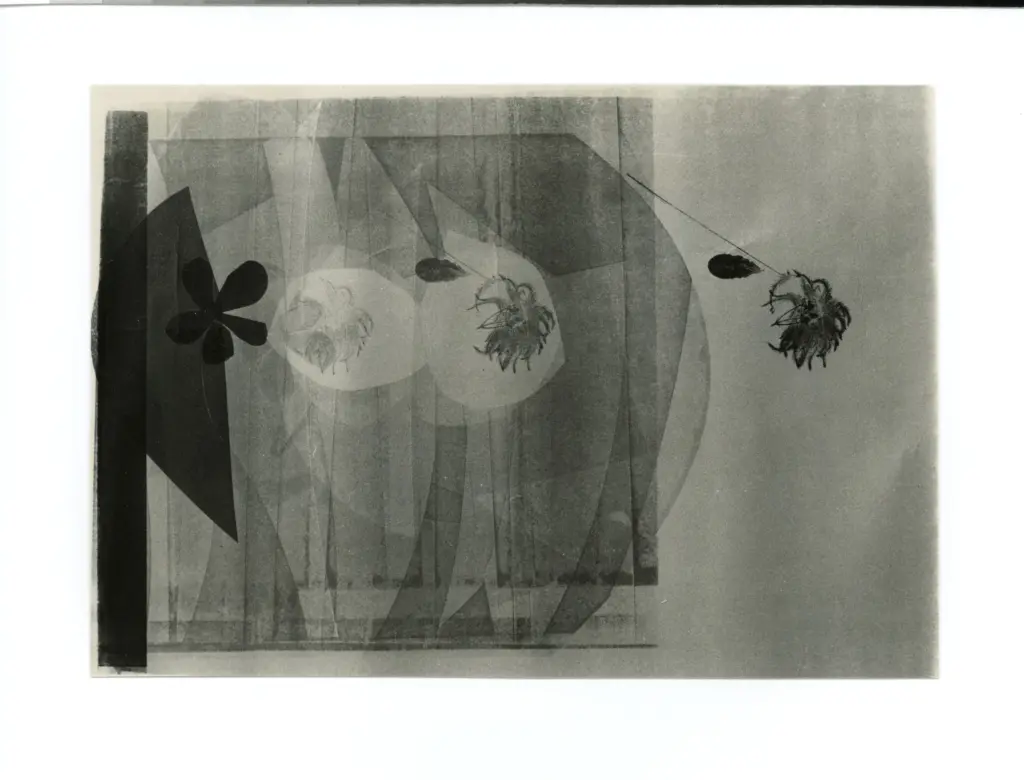 Schmid, Aldo , Ritmi floreali n. 2