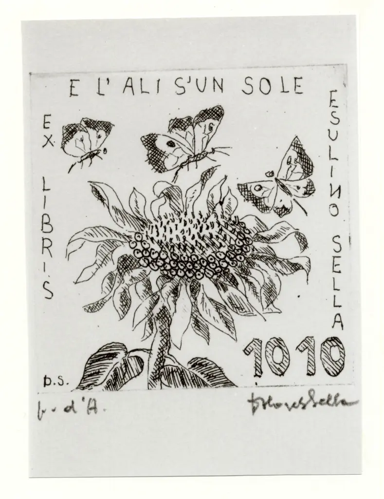 Anonimo, Anonimo , fronte