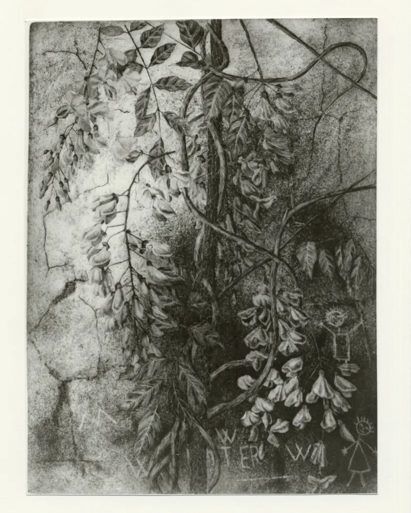 Foto Alcide , fronte