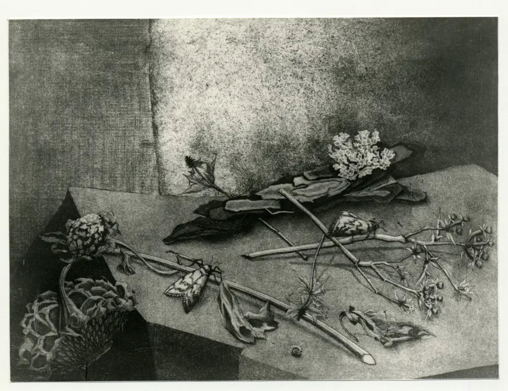 Anonimo, Anonimo , fronte