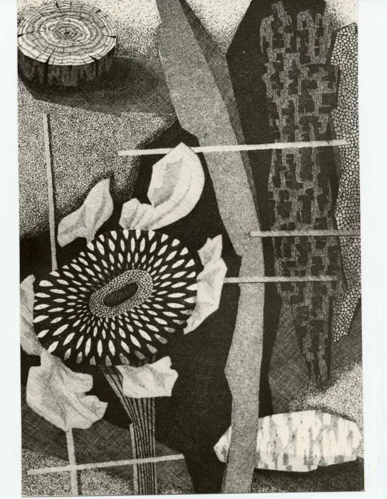 Foto Alcide , fronte