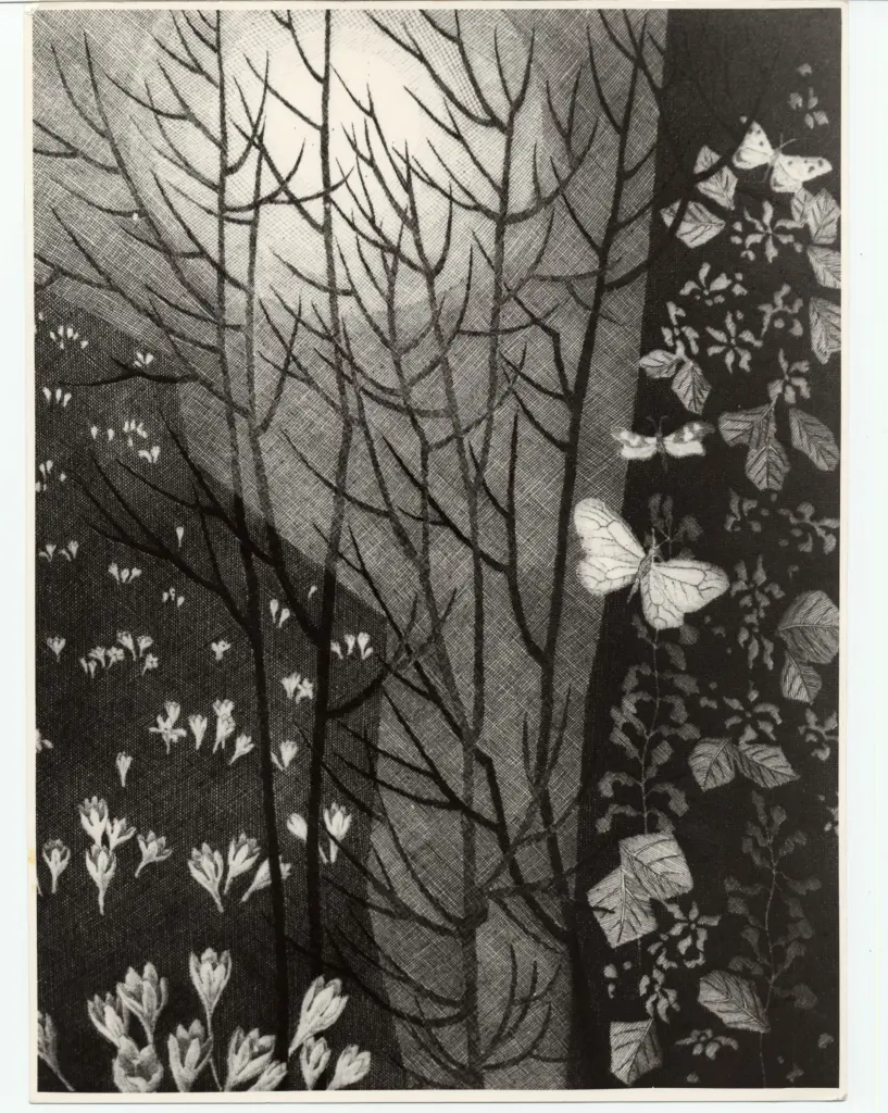 Foto Alcide , fronte