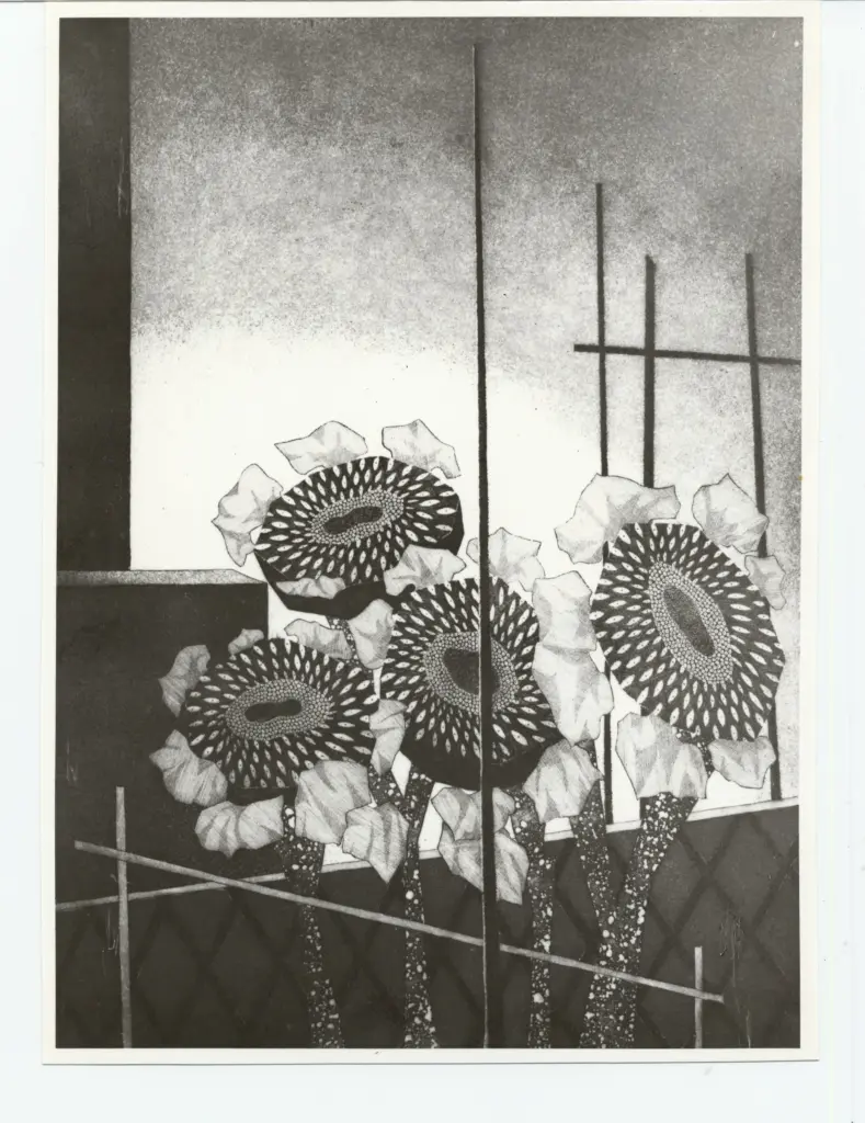 Foto Alcide , fronte