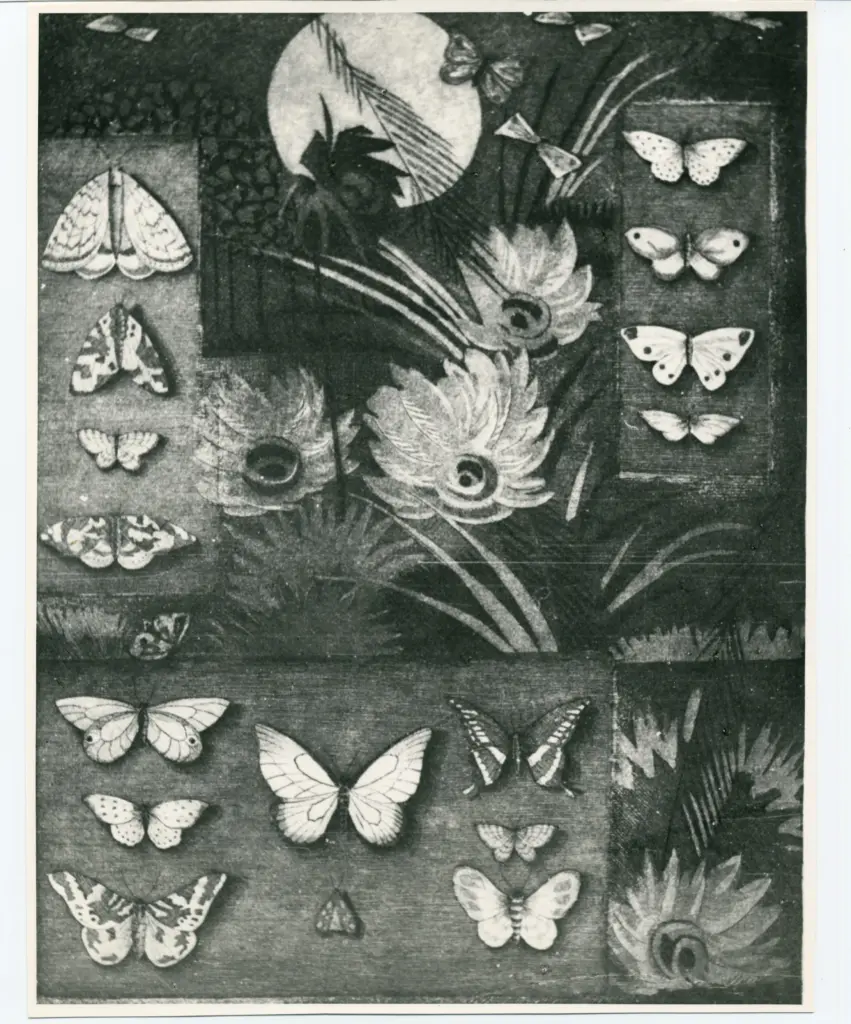 Foto Alcide , fronte