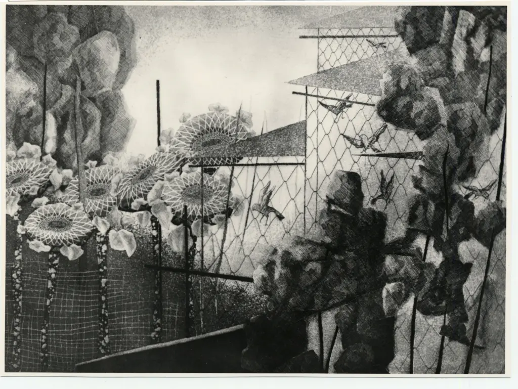 Foto Alcide , fronte