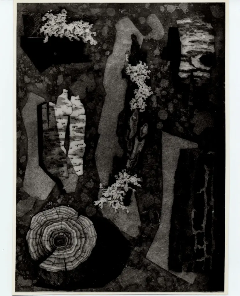 Foto Alcide , fronte