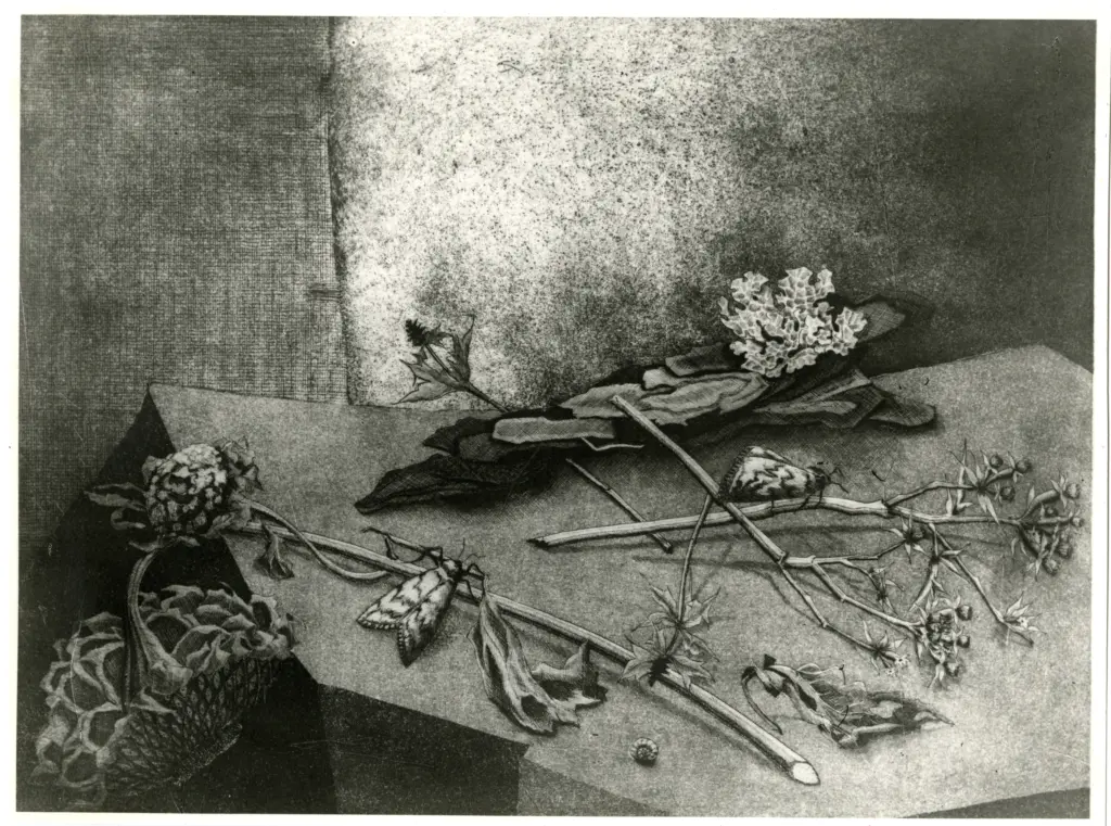 Anonimo, Anonimo , fronte