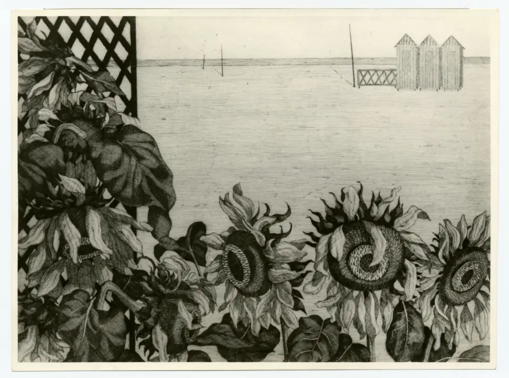 Bessi, Ilario , fronte