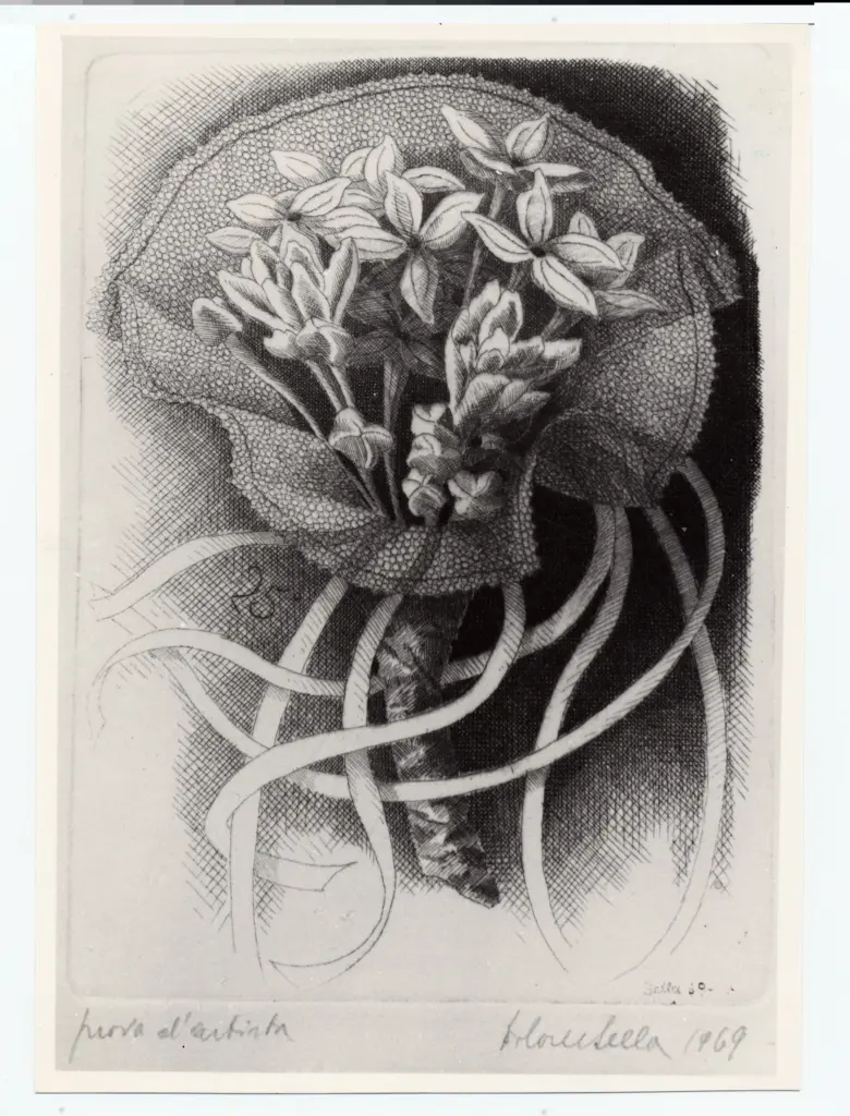 Foto Alcide , fronte