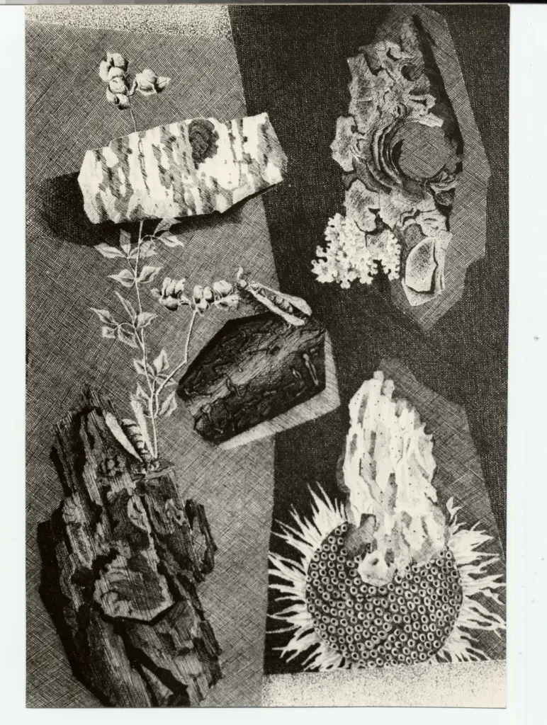 Foto Alcide , fronte