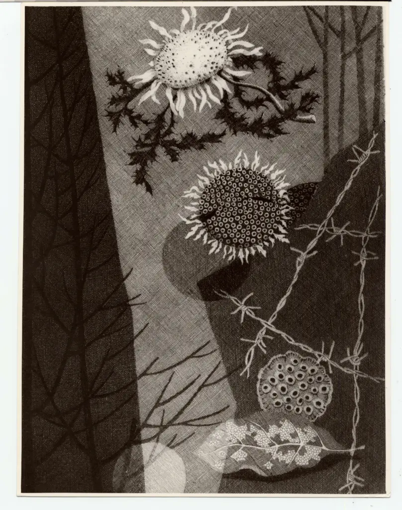 Foto Alcide , fronte