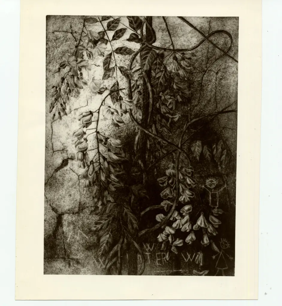 Foto Alcide , fronte