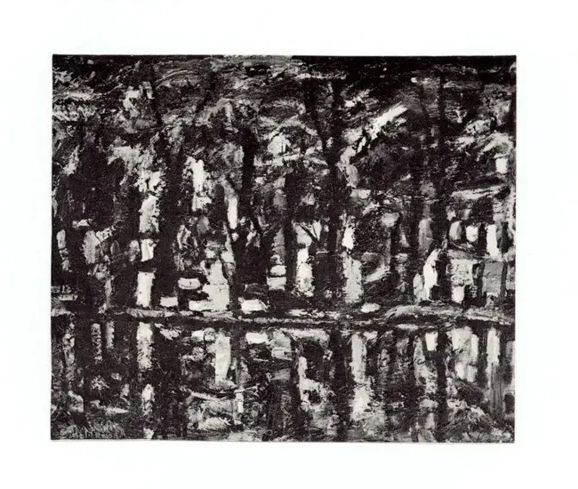 Sidoli, Plinio , Cinque opere di rispecchi