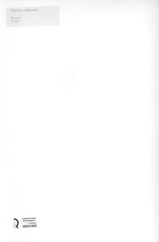 Anonimo, Anonimo , retro