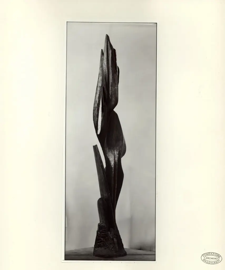 Fotografia Ferruzzi , fronte