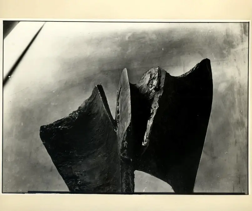 Anonimo, Anonimo , fronte