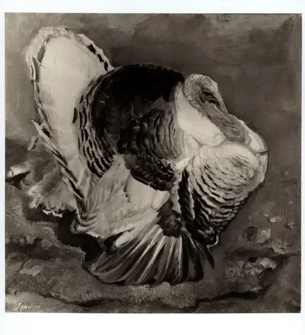 Anonimo, Anonimo , fronte