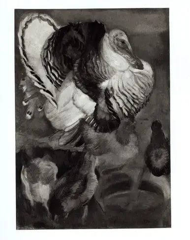 Spadini, Armando , Tacchino