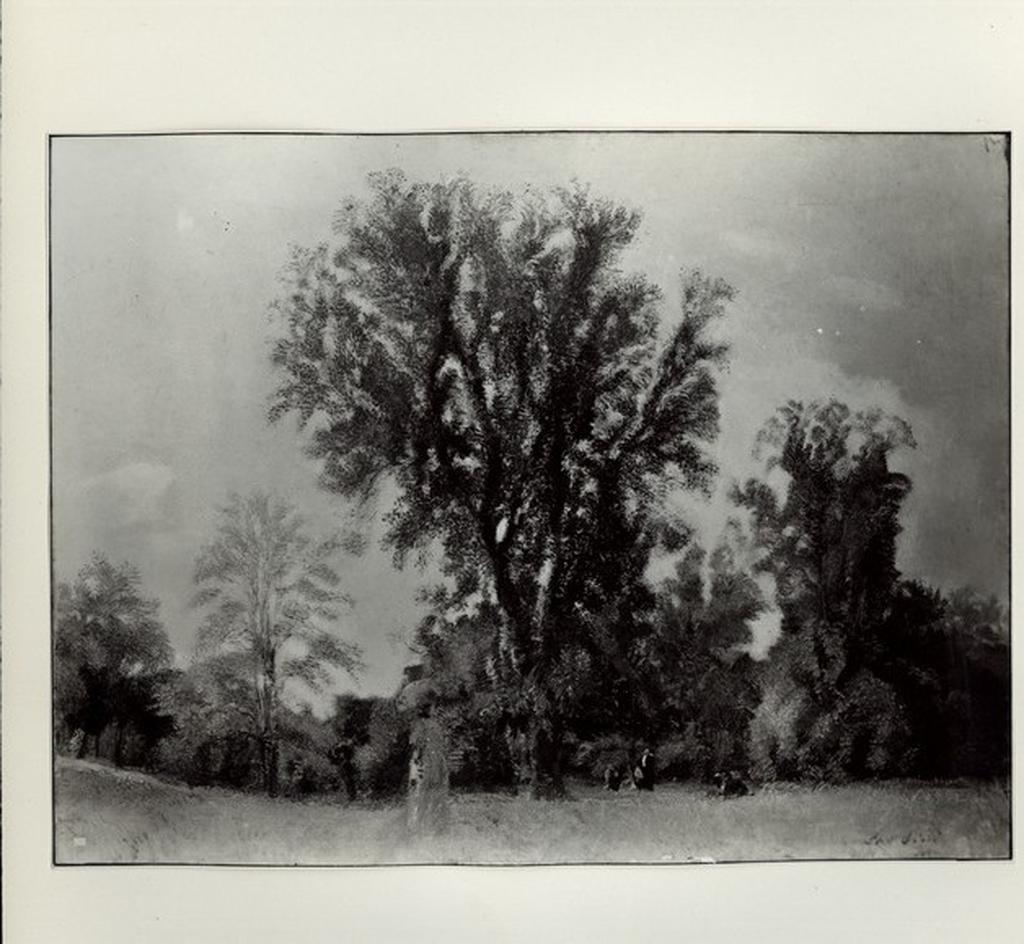 Spadini, Armando , Paesaggio
