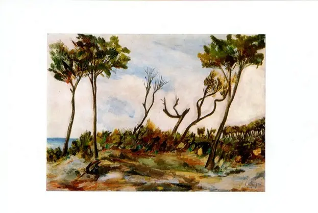 Anonimo , Spigai, C. - sec. XX - Pini in Maremma , fronte