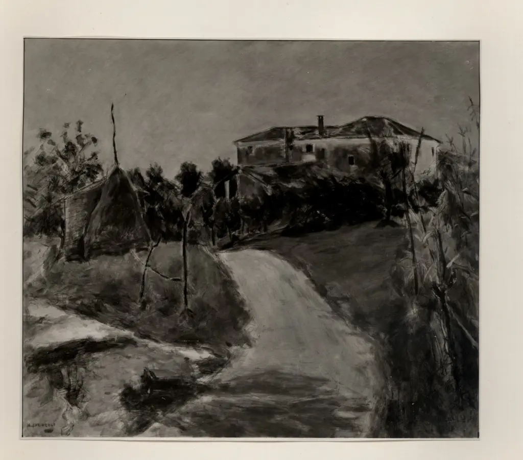 Springolo, Nino , Strada in collina