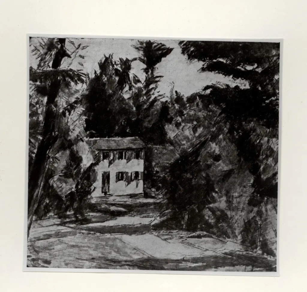 Anonimo , Springolo, Nino - sec. XX - Bosco